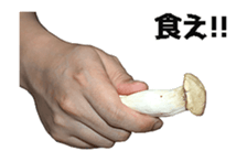495234298
