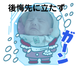 495246529
