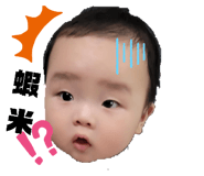 495252862