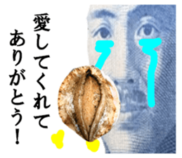 49528355