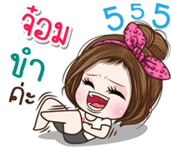 49536568