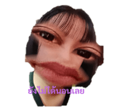 495383404