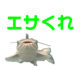 495385336