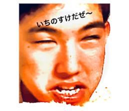 495386889