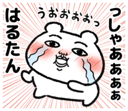 495400691