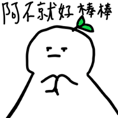495401980