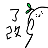 495402000