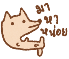 495403504