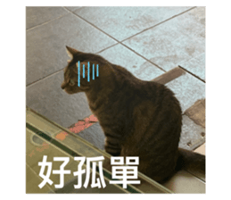 495410563