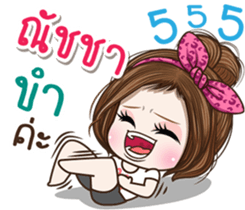 49541200