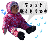 495430023