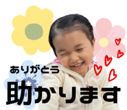 495430024