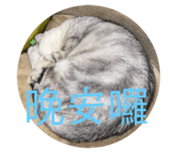 495436681