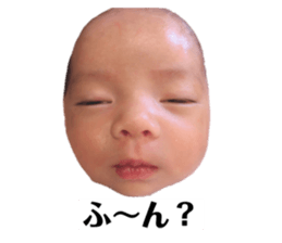 495438265