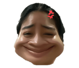 495440499