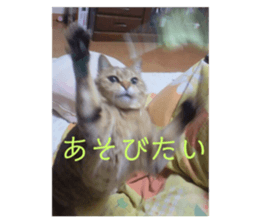 495445901