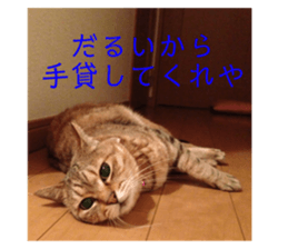 495445920