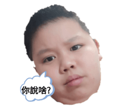 495459168