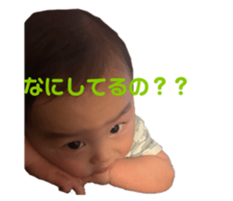 495480723
