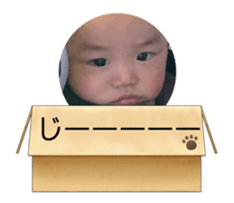 495480736