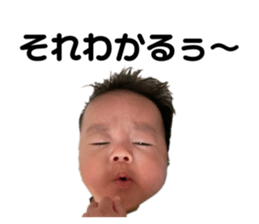 495496851