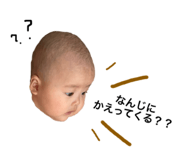 495505559