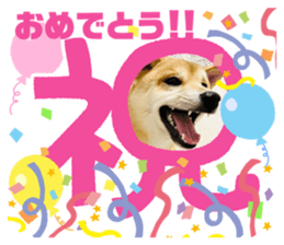 495509460