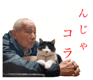 495513137