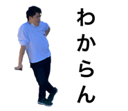 495519761