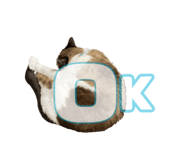 495521045