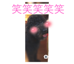 495522200