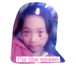 495524641