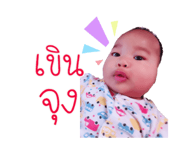 49559044