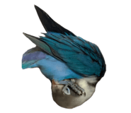 495607479