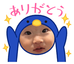 495666394