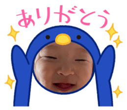 495666405