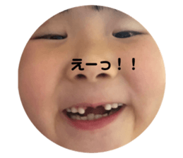 495675655