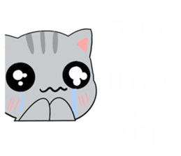 495678317