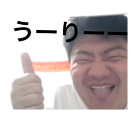 495680560