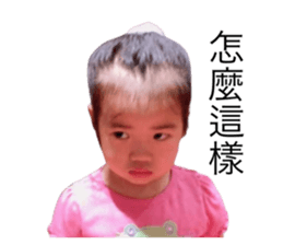 495695036