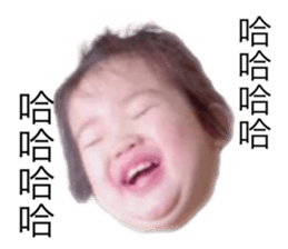 495695037