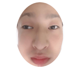 495696223