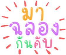 495704965