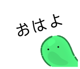 495709904