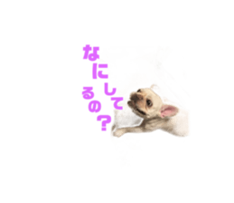 495716236