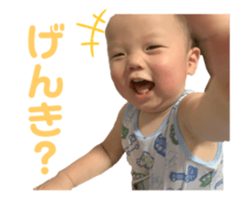 495720044