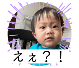 495733411