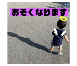 495733422