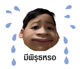 495750135