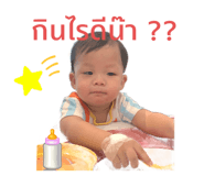 495755212